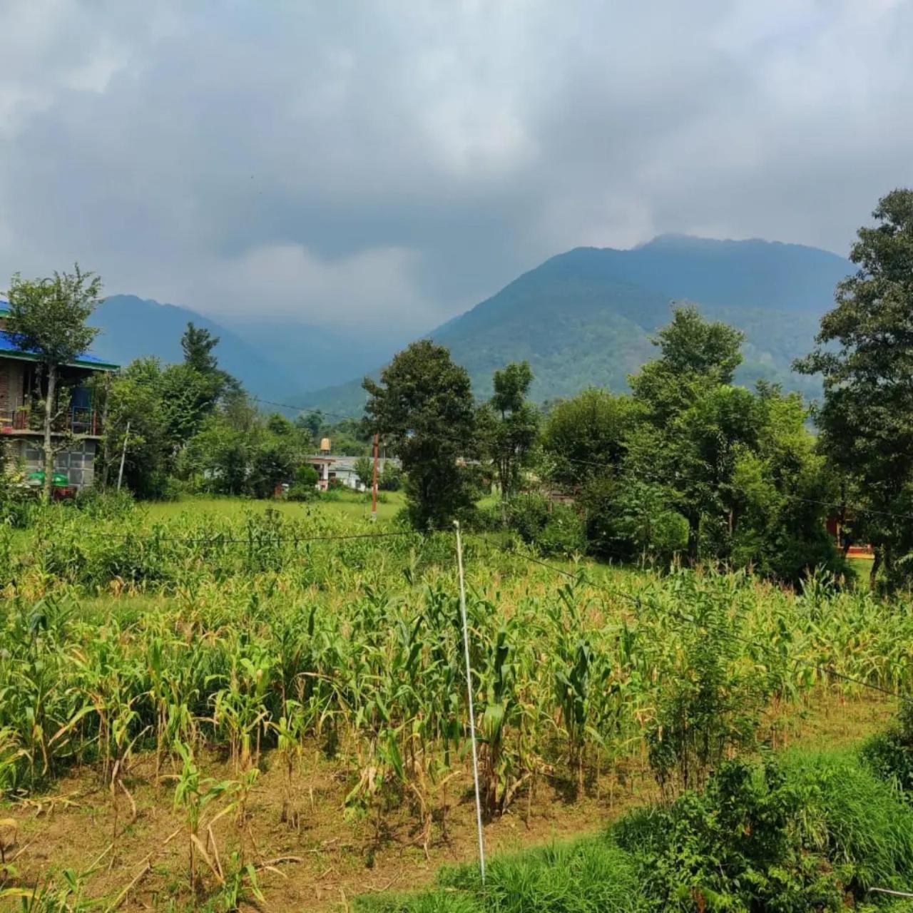 Aditya Homestay Bir-Billing Surrounded By Mountains Dış mekan fotoğraf