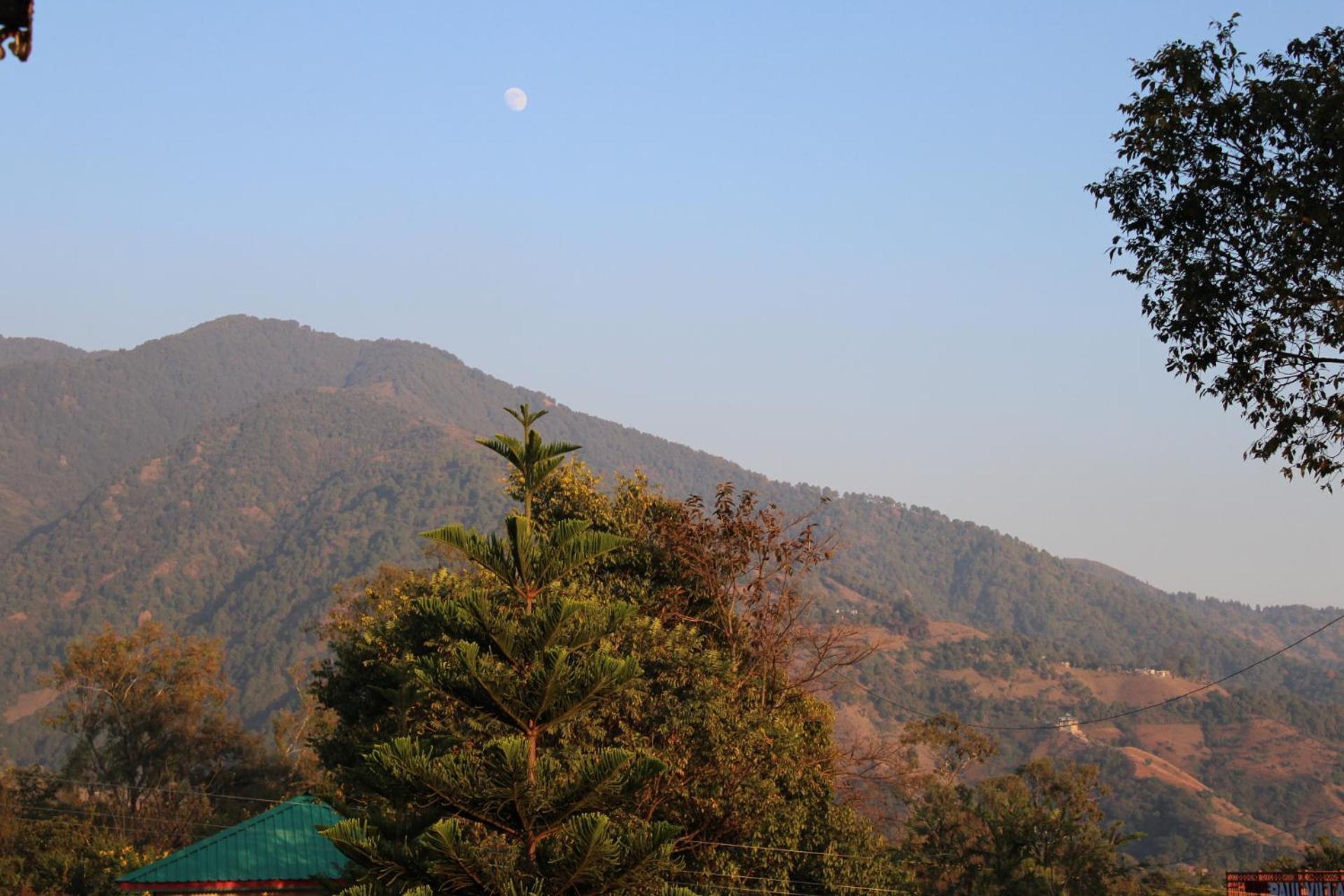Aditya Homestay Bir-Billing Surrounded By Mountains Dış mekan fotoğraf